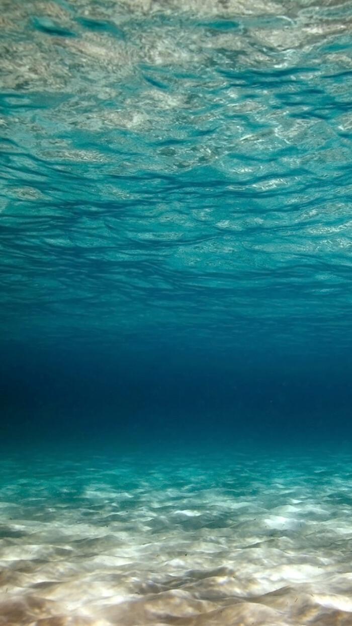 我是深海请你溺水.