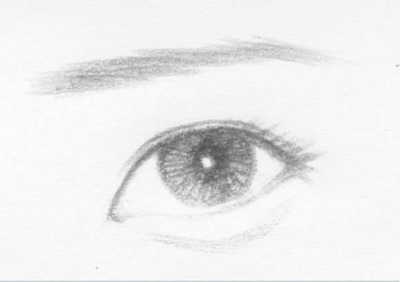 杏眼的位置略高于标准眼位,特点是睑裂宽度…