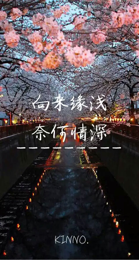 壁纸/文字/伤情/bymoran初心