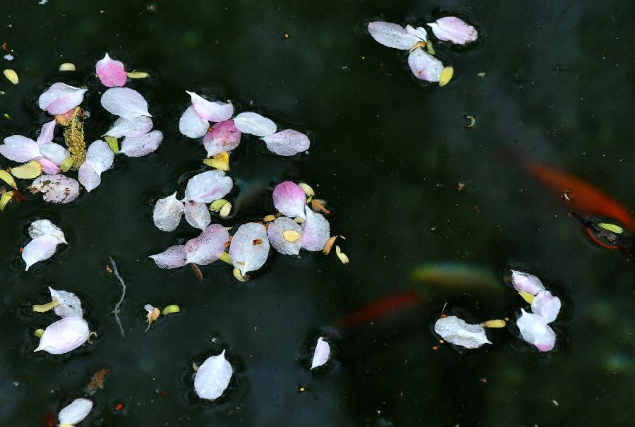 落花流水