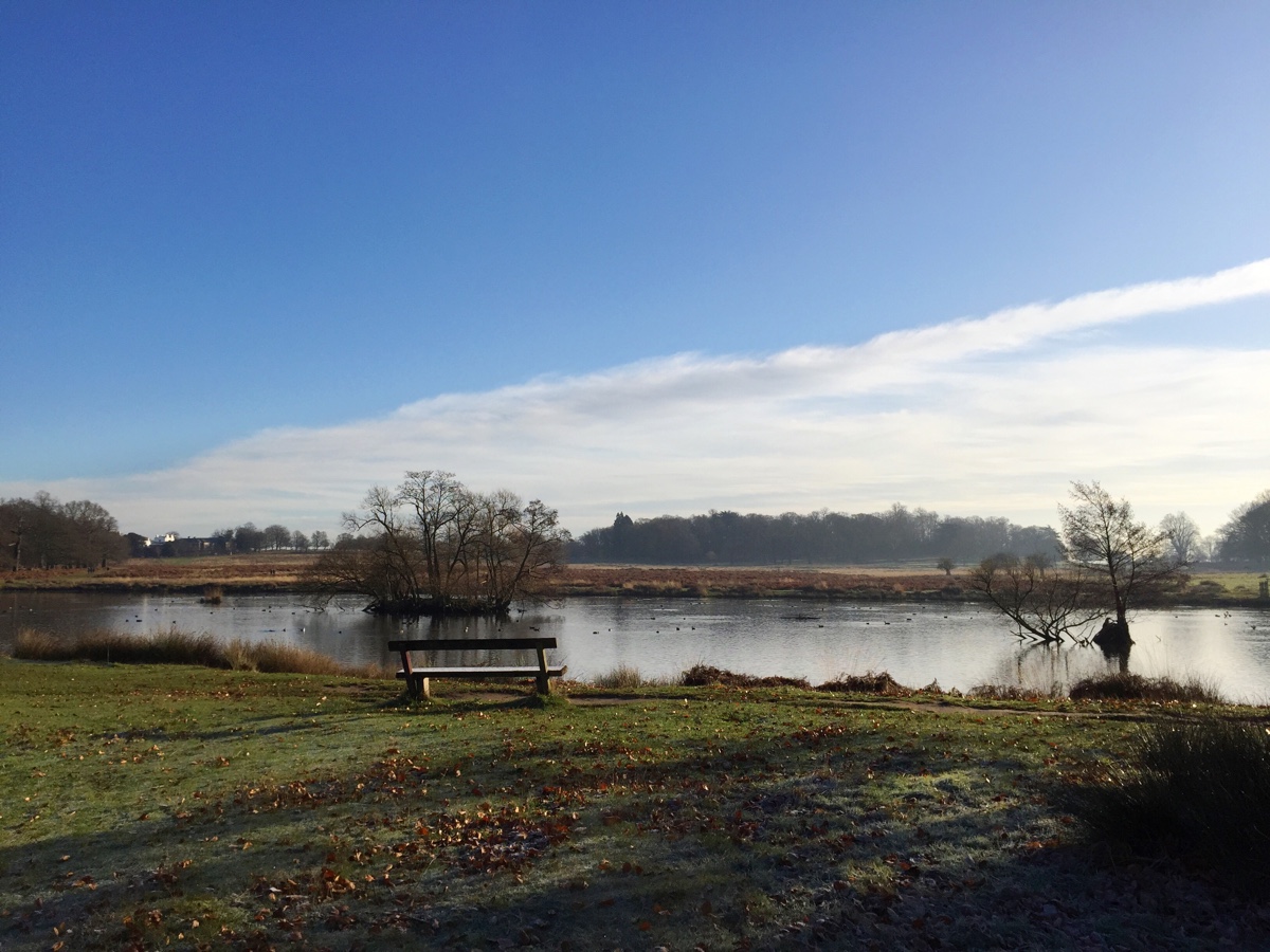 richmond park