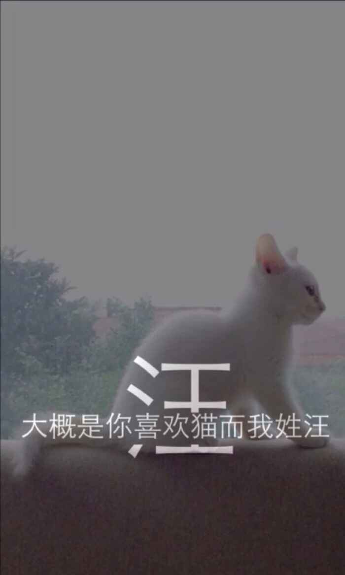 我姓汪