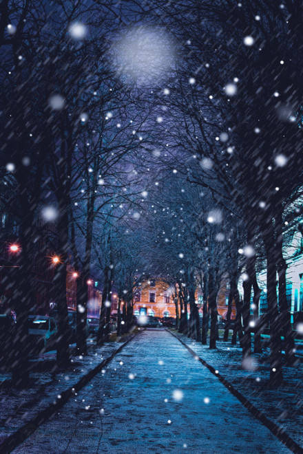 冬夜雪景.
