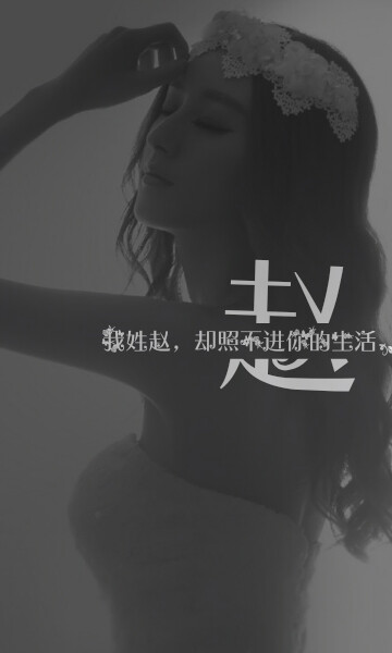 姓氏 图片评论 0条  收集   点赞  评论  手机壁纸,姓氏壁纸-我姓赵