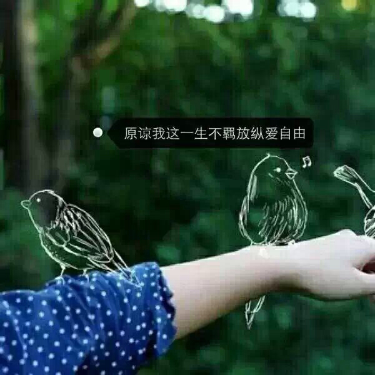 原谅我这一生不羁放纵爱自由