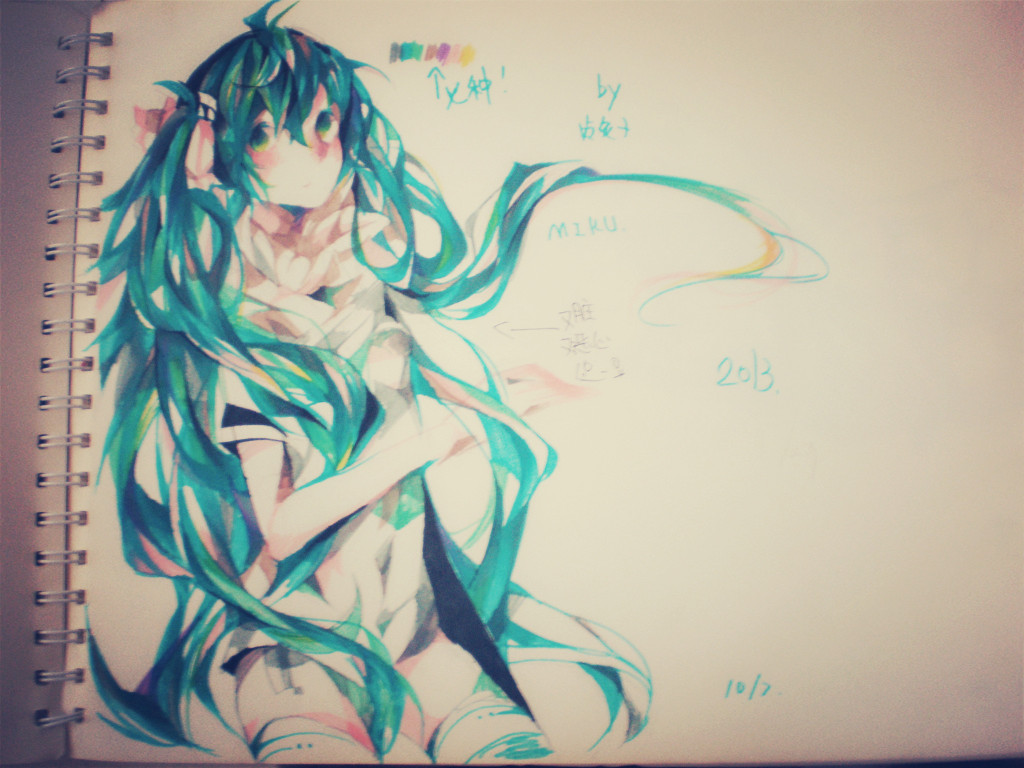 2014年12月24日 13:23   关注  初音未来 手绘 评论 收藏