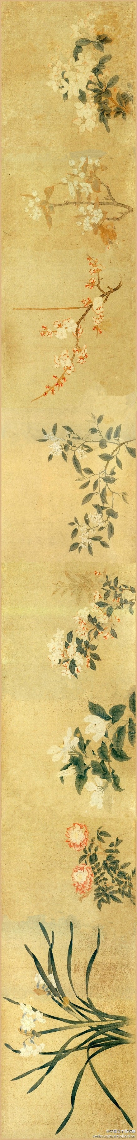 吴兴八俊 元 钱选《八花图】卷,纸本设色,29.4×333.