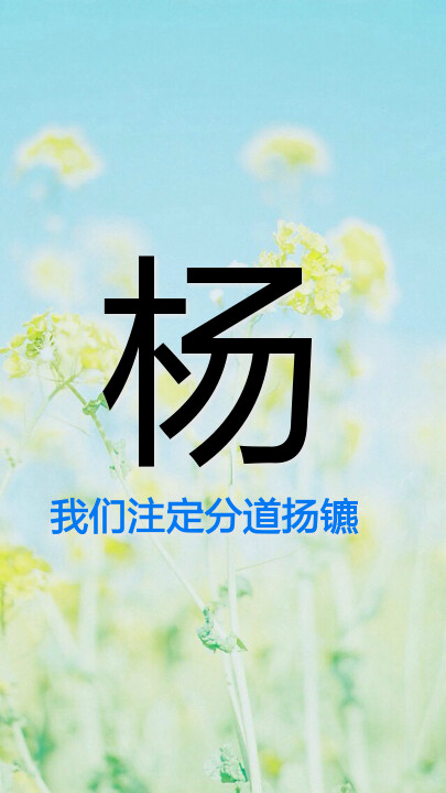 我姓杨 