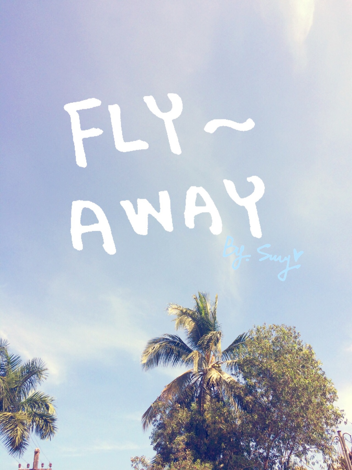 fly away