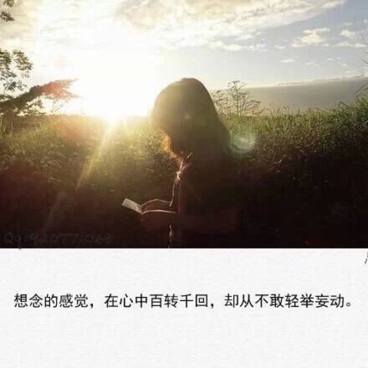 文字 心情 图片 你-堆糖,美好生活研究所