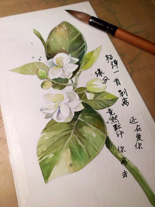 林俊杰 茉莉雨