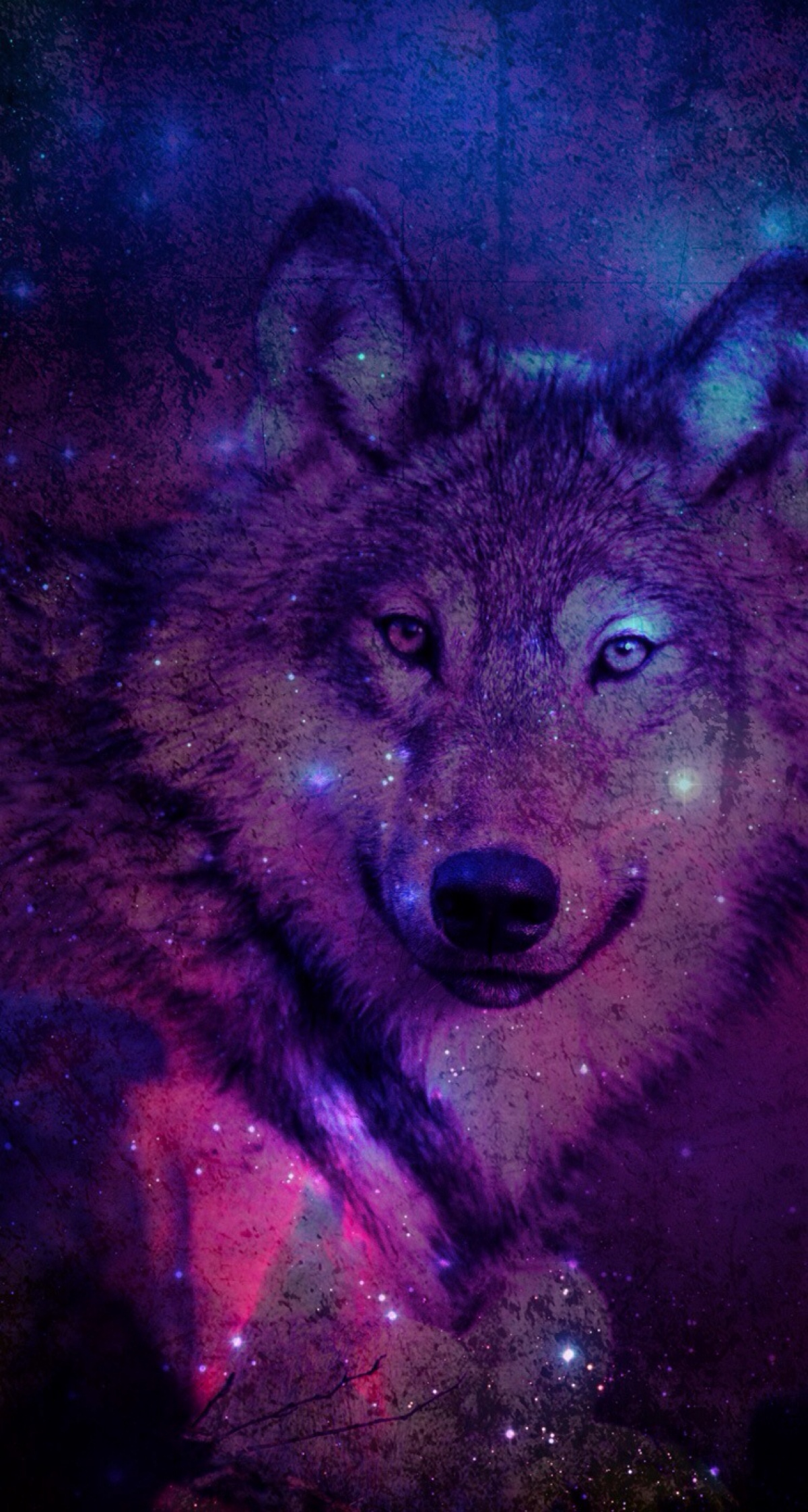 wolf wallpaper - 堆糖,美图壁纸兴趣社区