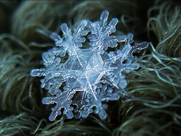 雪花的形状