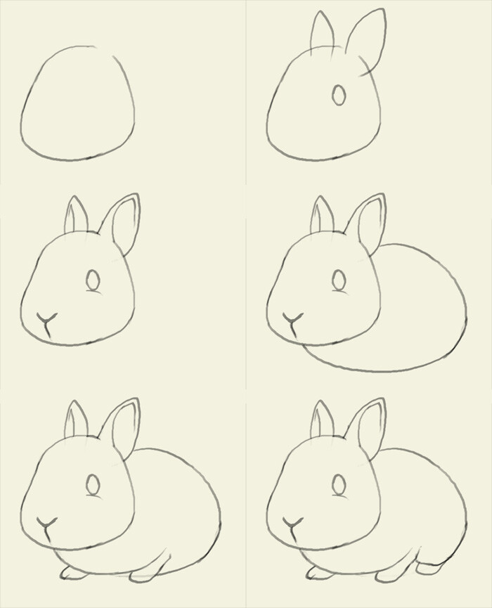 兔子画法
