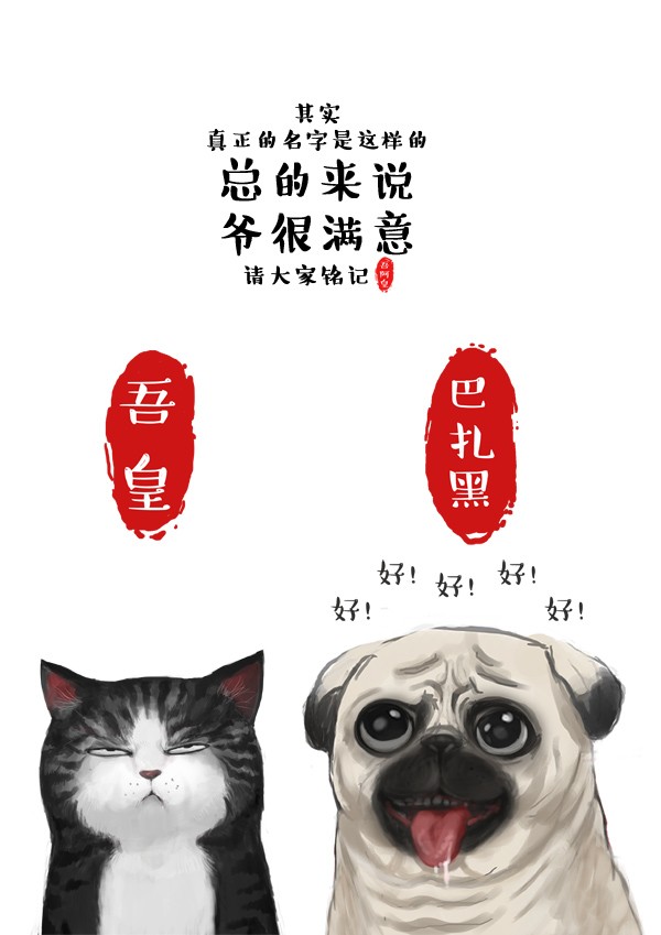 白茶 插画