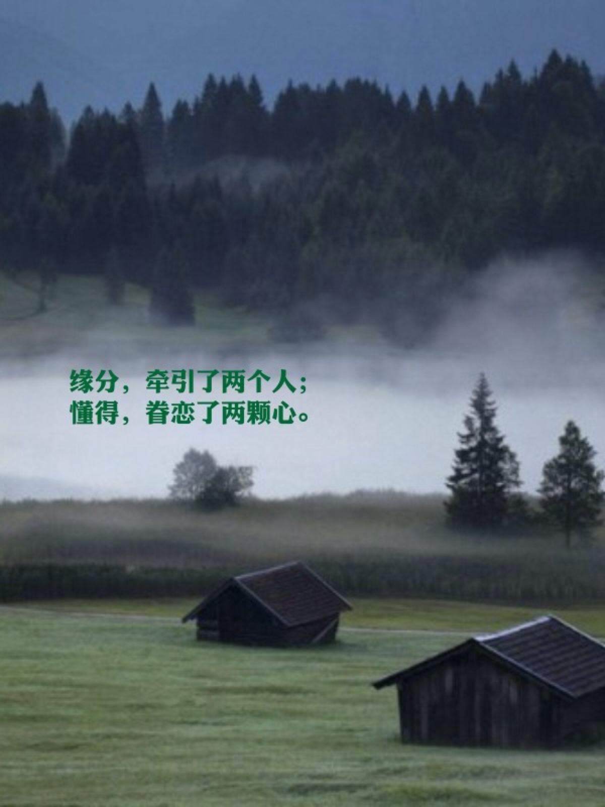 精美图文