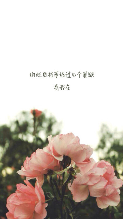 小清新 文艺 文字 歌词 壁纸 by mrjuno