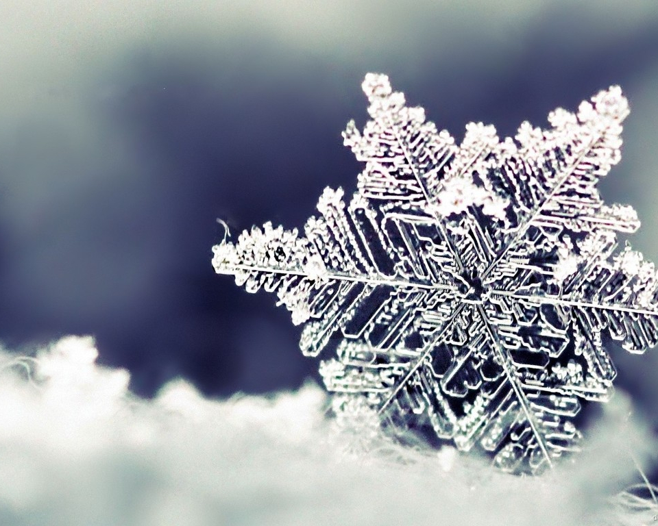 冬天最美的风景 雪花 壁纸