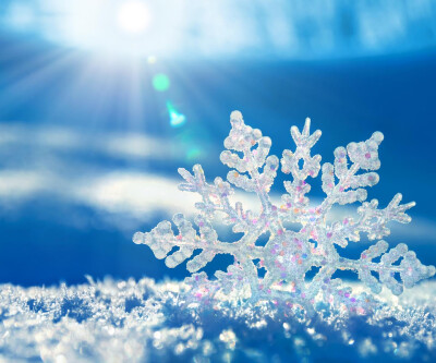 冬天最美的风景 雪花 壁纸