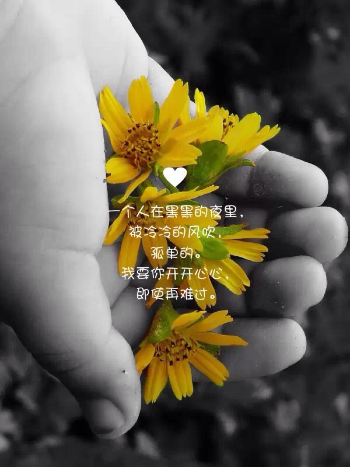 精美图文
