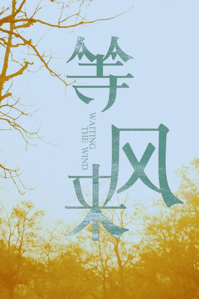 等风来 
