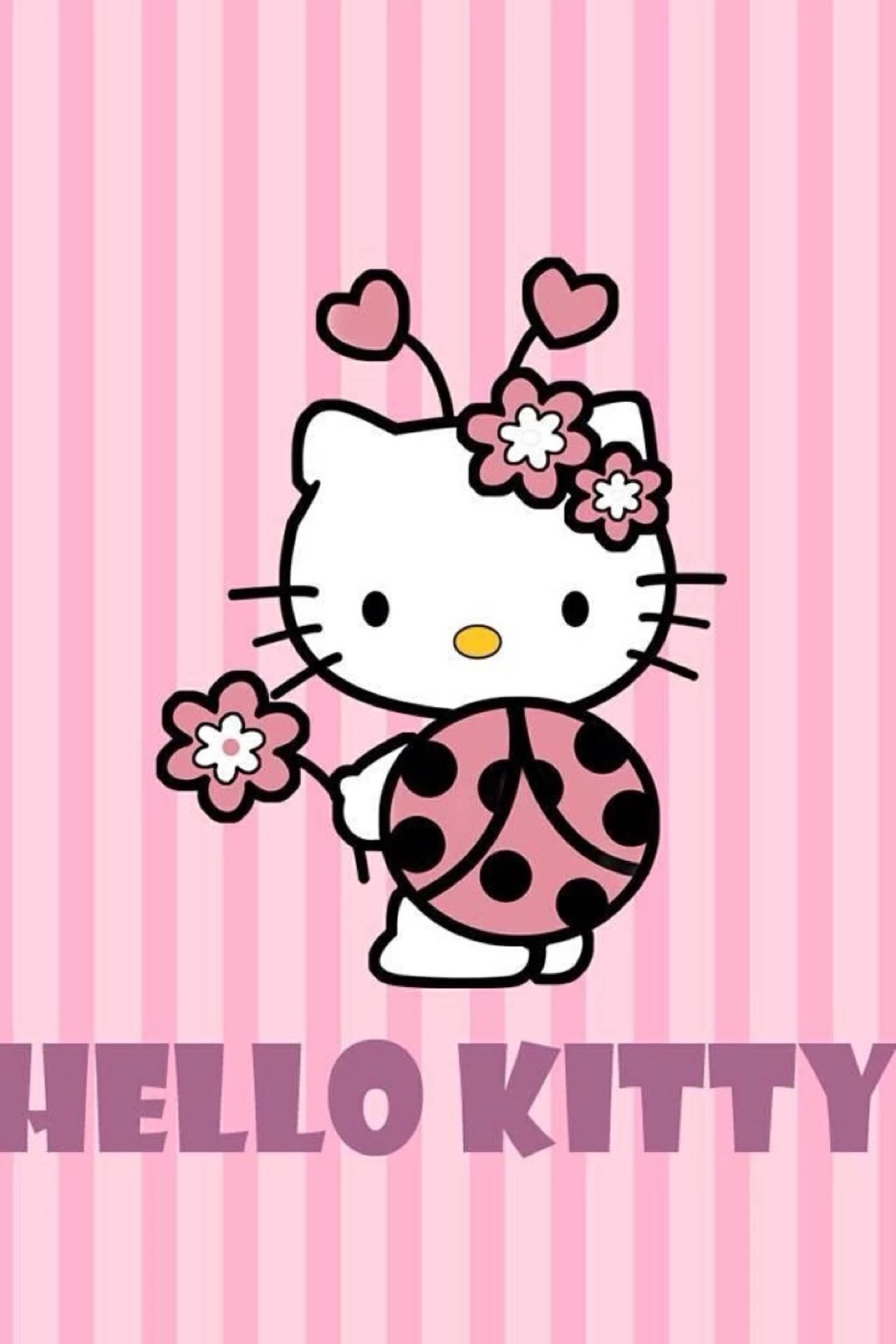 hellokitty