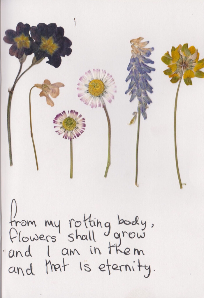 from my rotting body, flowers shall grow and i am in them and