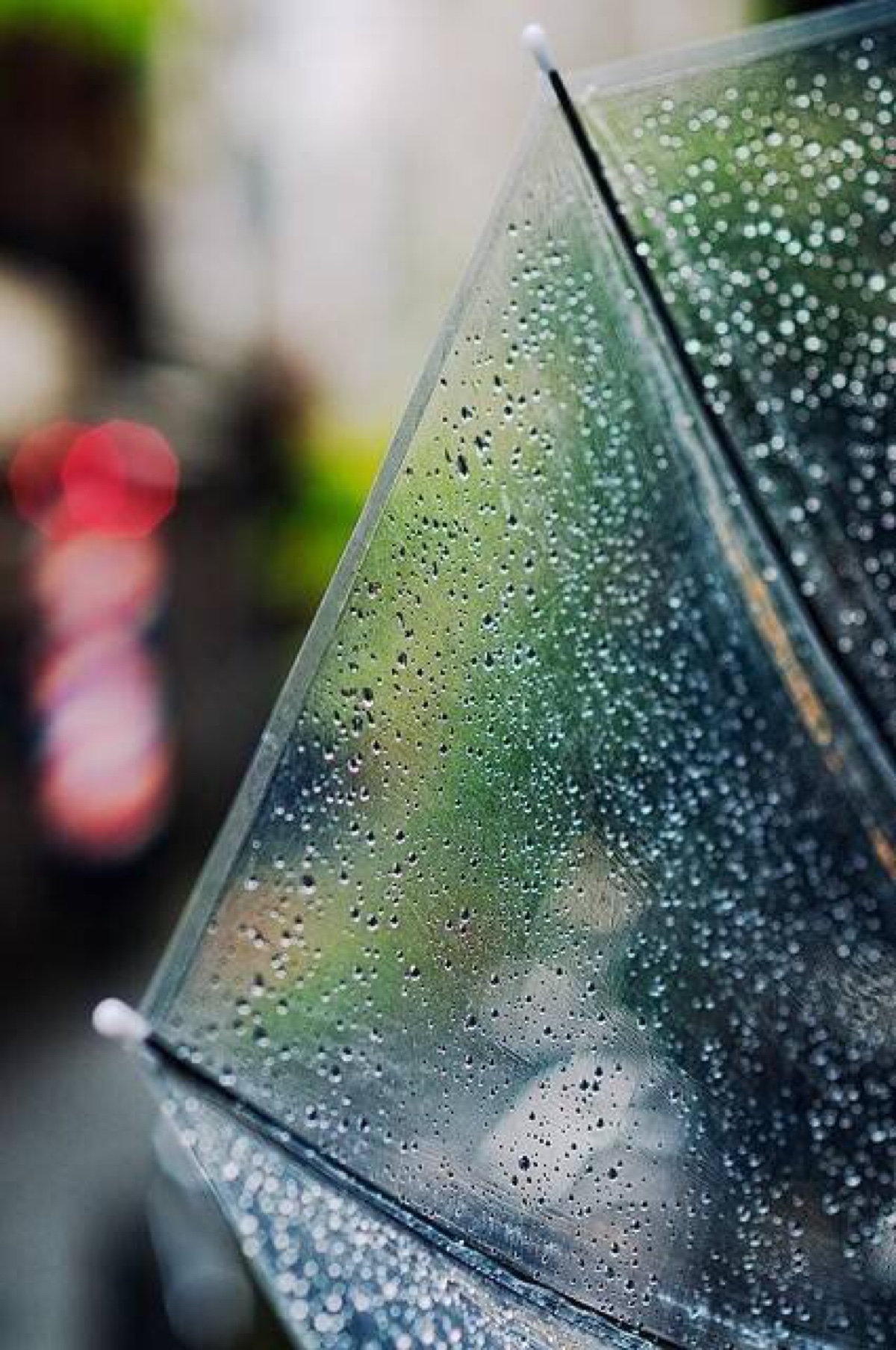 你的城市,有没有下雨.