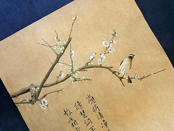 国画工笔 —— 绿萼梅 白头鹎 【应将清净结心期,静待梅花读楚辞】