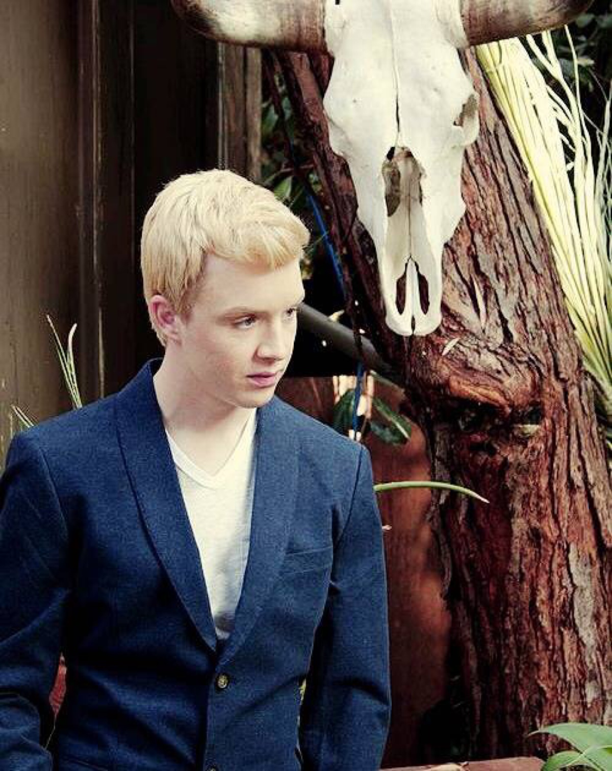 noel fisher