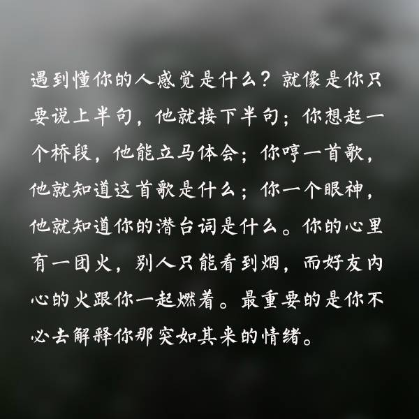 我想懂你