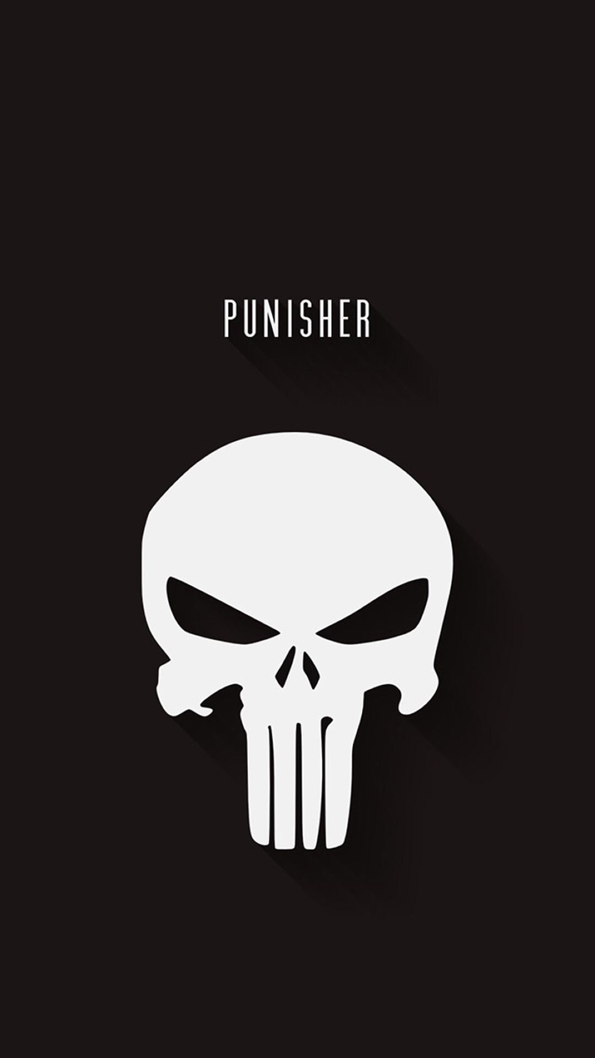 复仇者punisher