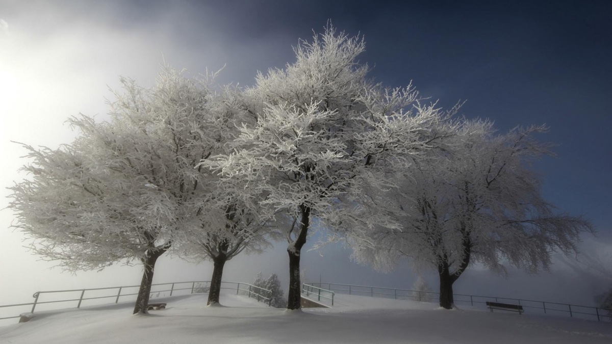 今日小编又来为大家送上一组冬季清新唯美雪景桌面壁纸,希1200_675