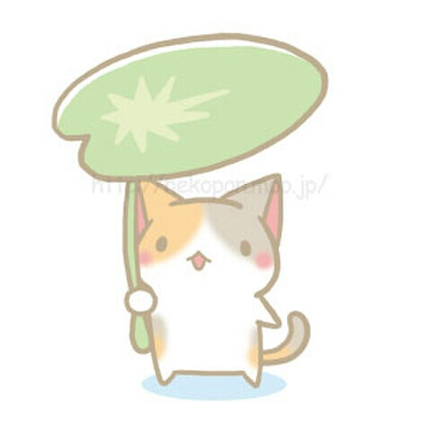 二次元 手绘 萌物 治愈 插画 p站 小猫 萌萌哒 头像 壁纸 套图更新中