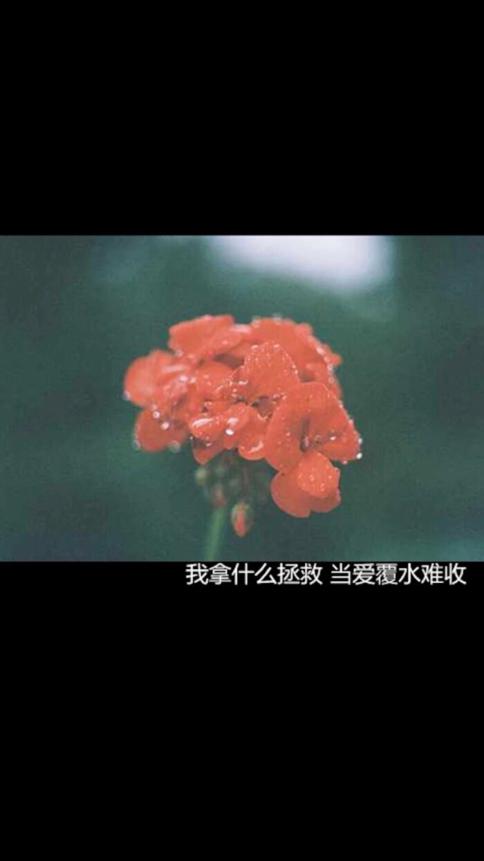 700_1245 竖版 竖屏