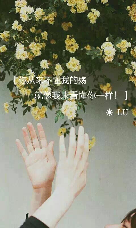 你不懂我的殇,就像我从未看懂你一样