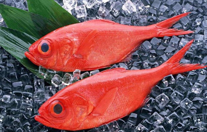 红鱼 红鱼的又名红鱼,红槽鱼,红鸡,是暖水性中下层鱼类.