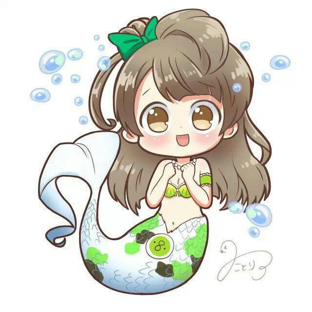 锦鲤