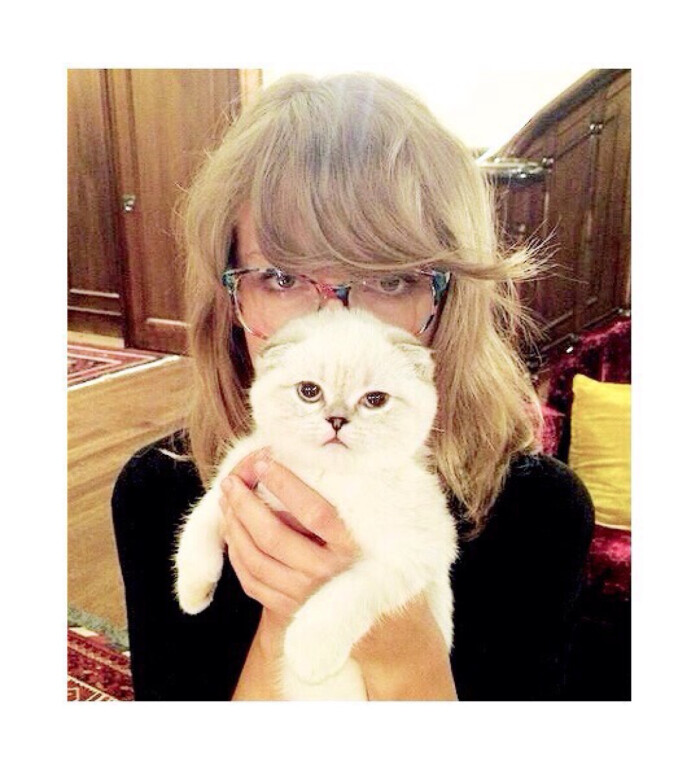  taylorswift头像卡通-千图网