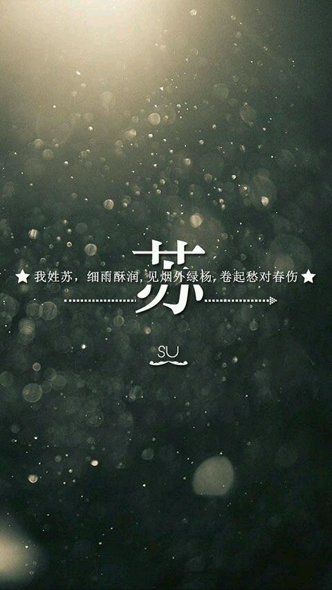 我姓苏.
