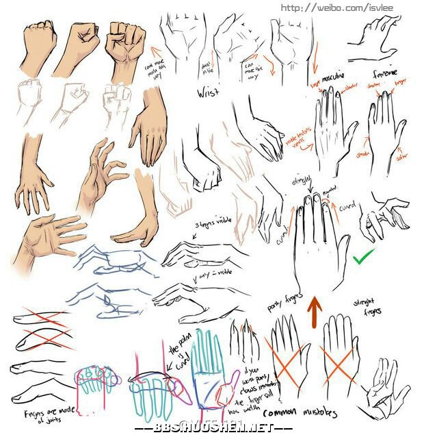 动漫教程 手的画法 图转自空间【侵删