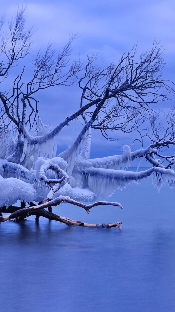 苹果6高清壁纸,#iphone 6 plus高清壁纸,#不是高清我不发,清新,风景