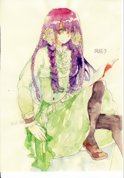 风信子 