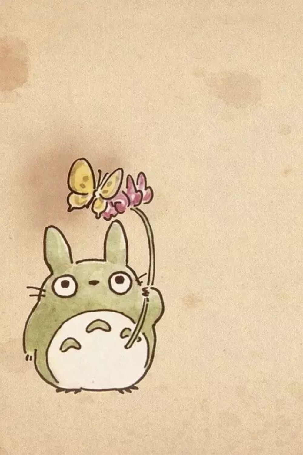 宫崎骏 龙猫 可爱 卡通 动画 漫画 卡哇伊 萌 壁纸