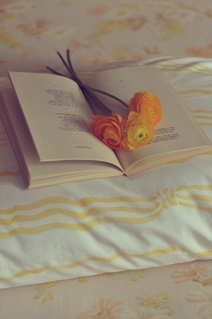 书和花 