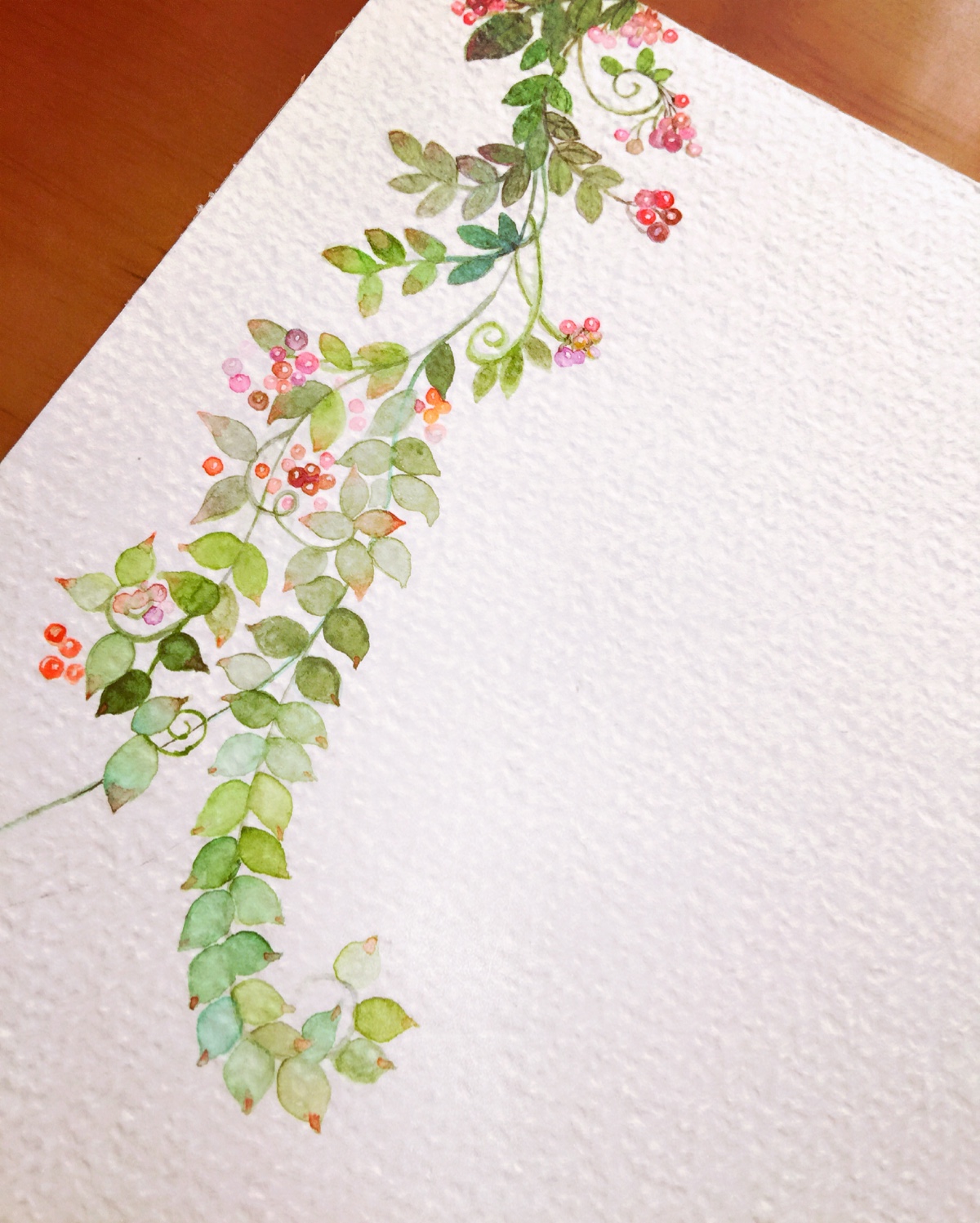 小清新 手绘花朵 浆果 藤蔓 甜菊叶 原创 水彩画 原创