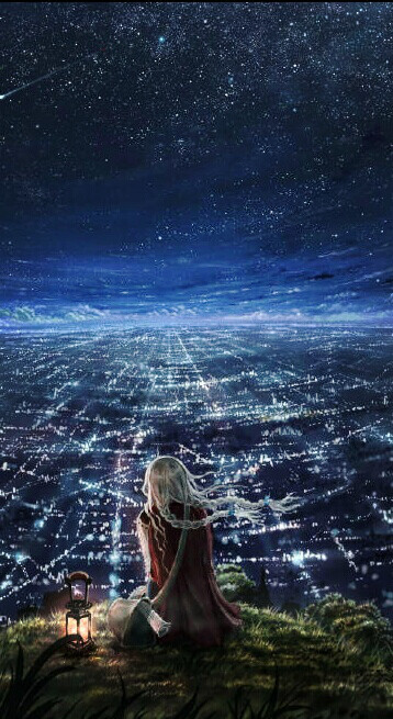 壁纸 星空 城市 俯望 绚丽 灯火阑珊 背影