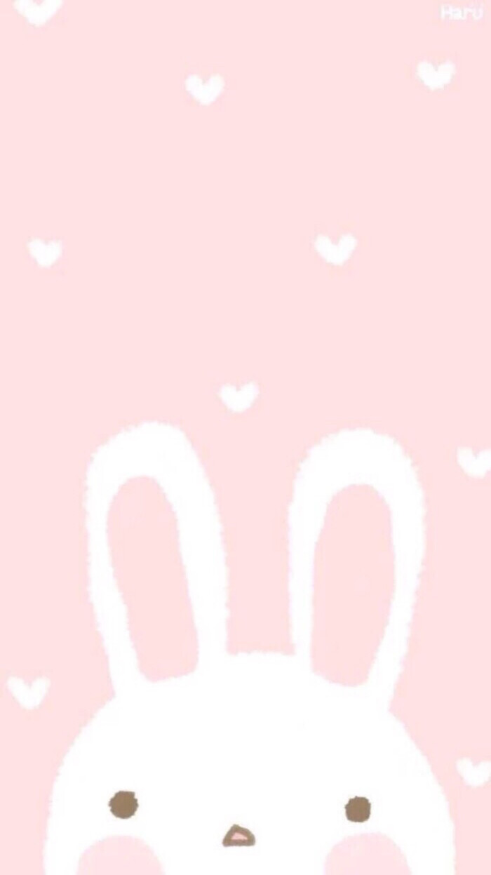 粉色 兔子.