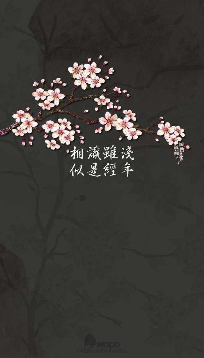 【花醉薇】静水流深,沧笙踏歌;三生阴晴圆缺,一朝悲欢离合.