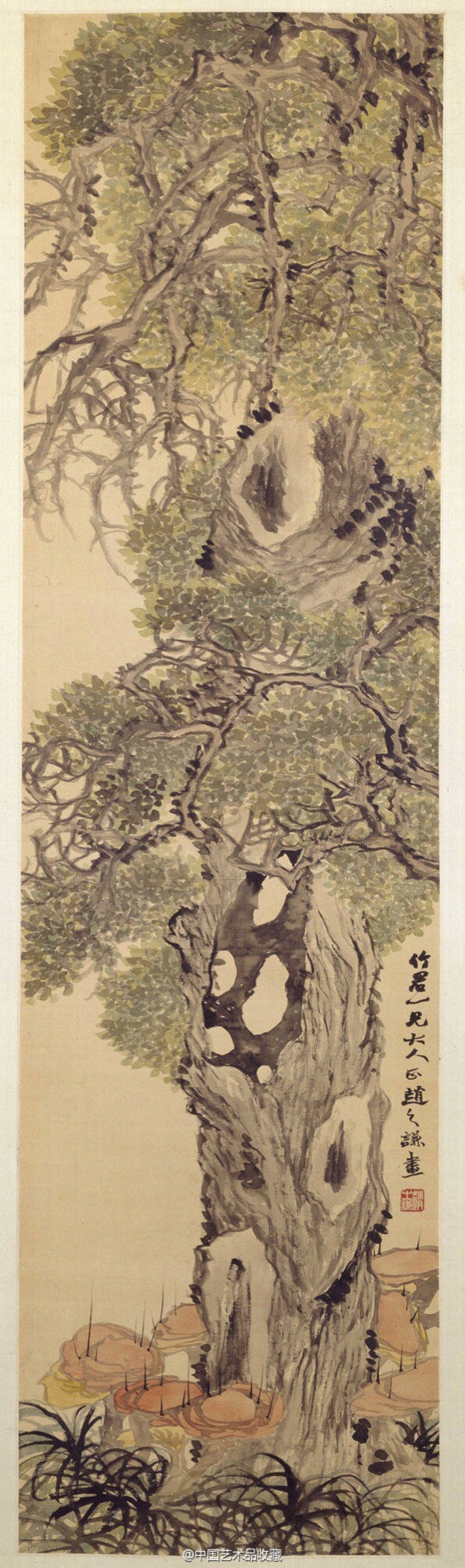 海上画派#【 清 赵之谦 《古柏灵芝图》 】轴,纸本设色,140.8×37.